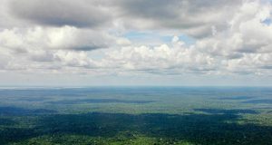 Floresta Amazonica