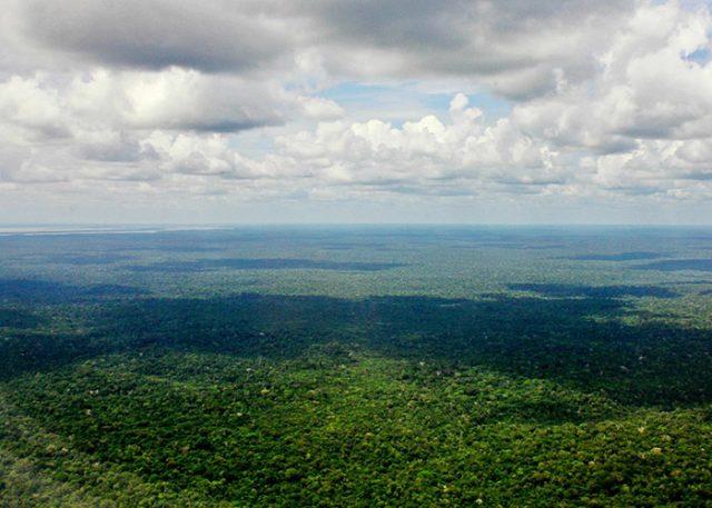 floresta-amazonica Floresta Amazonica