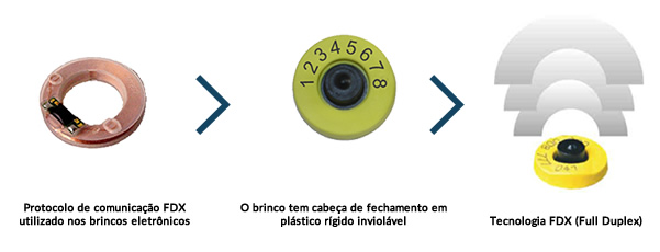 Tecnologia interna da identificação eletrônica