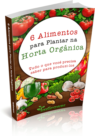 Como fazer uma horta orgânica