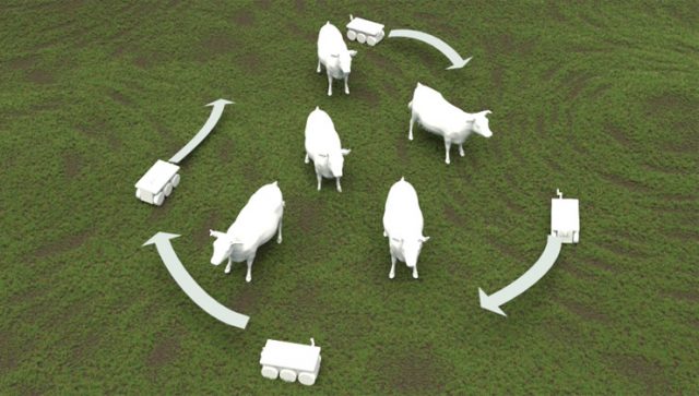 escolta-de-animais-com-robo Escolta de robôs