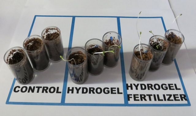 hidrogel-fertilizante-super-absorve Hidrogel fertilizante