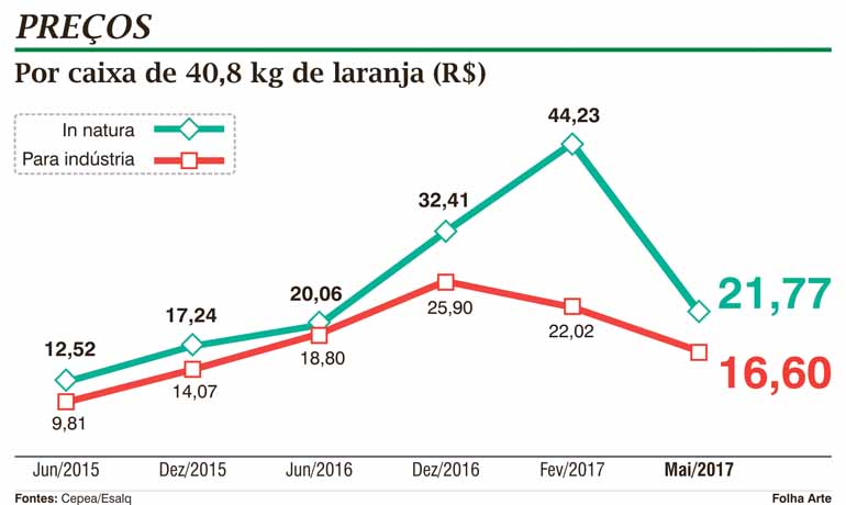 Gráfico Laranha