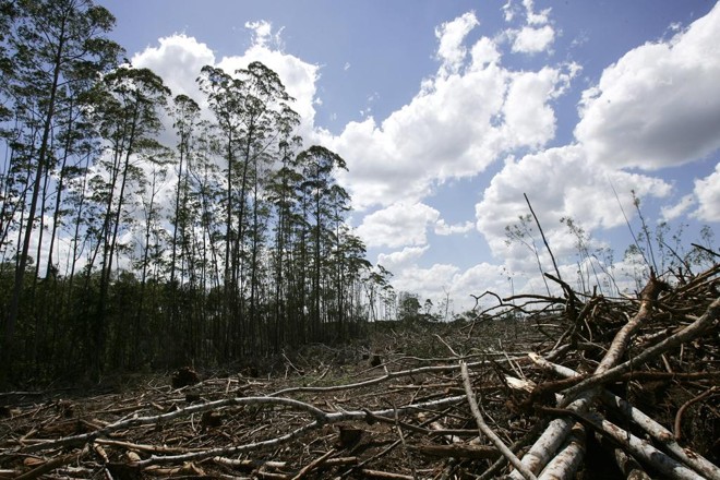 Engenheiro Ambiental