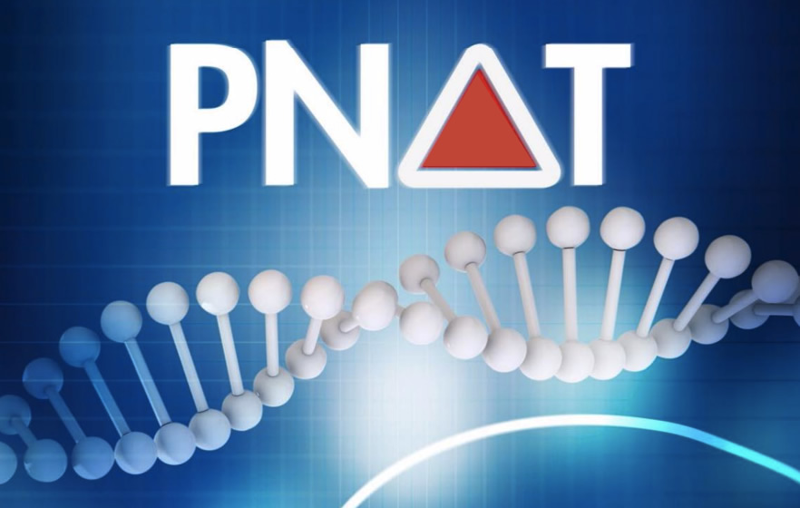 PNAT-Programa-Nacional-de-Avaliacao-de-Touros-Jovens