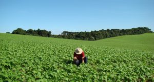 Agricultor