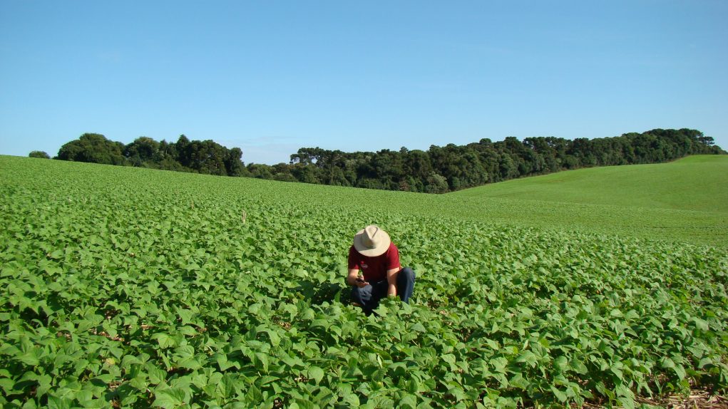 Agricultor