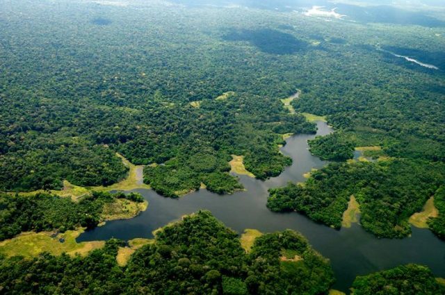 Amazônia