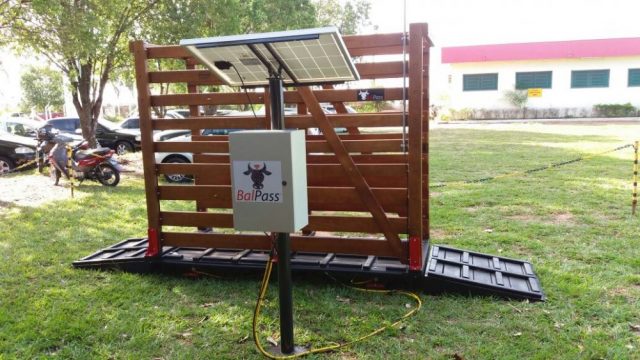 balpass-balanca-eletronica balpass-balanca-eletronica