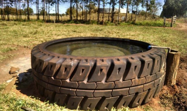 bebedouro-de-agua-rubbertank-agua-limpa-gado bebedouro-de-agua-rubbertank-agua-limpa-gado