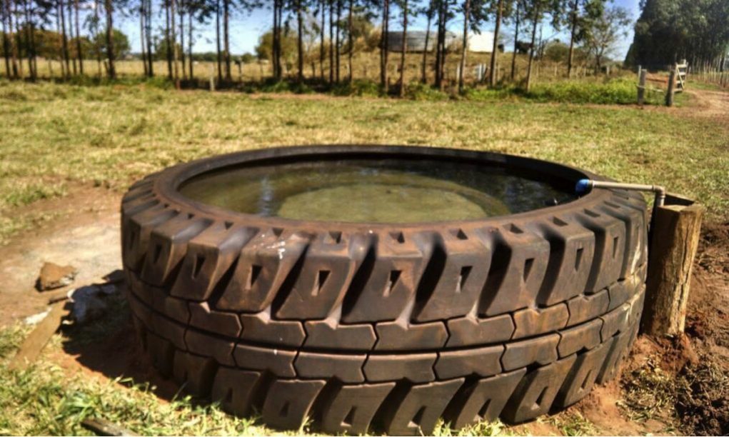 bebedouro-de-agua-rubbertank-agua-limpa-gado