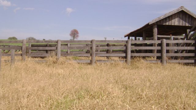 curral-vazio-e-velho curral-vazio-e-velho