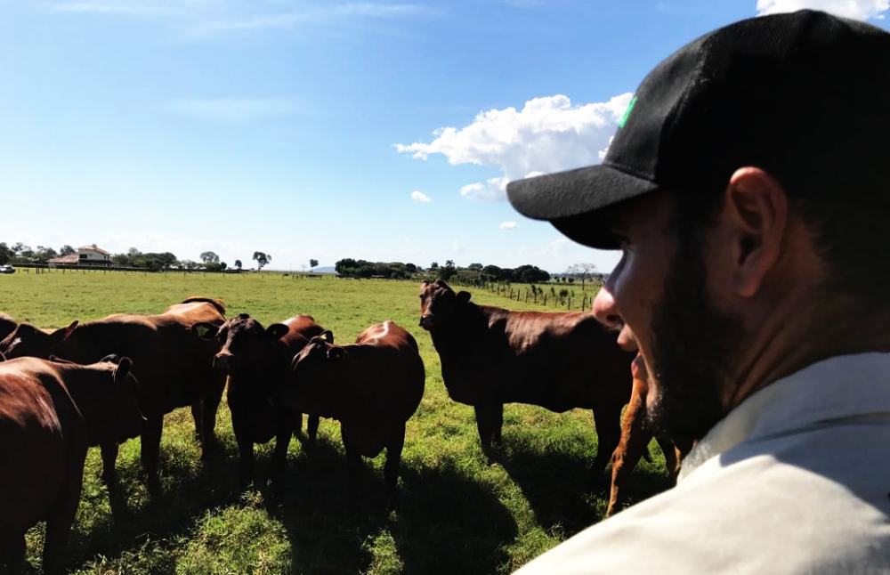 fazenda-gruta-azul-luizinho-capa