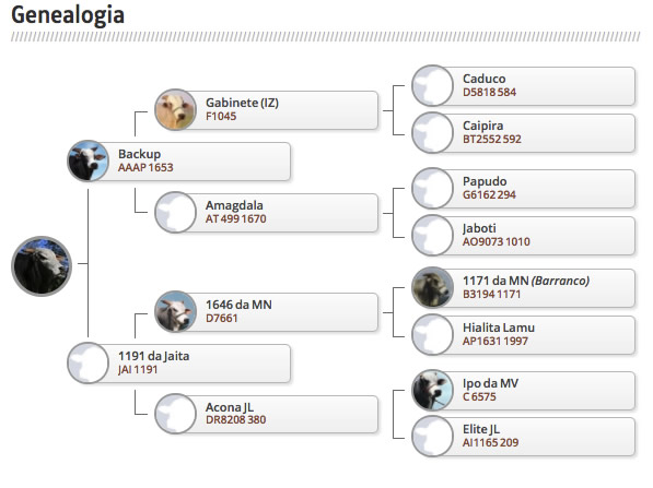 genealogia-do-ormon-da-eao