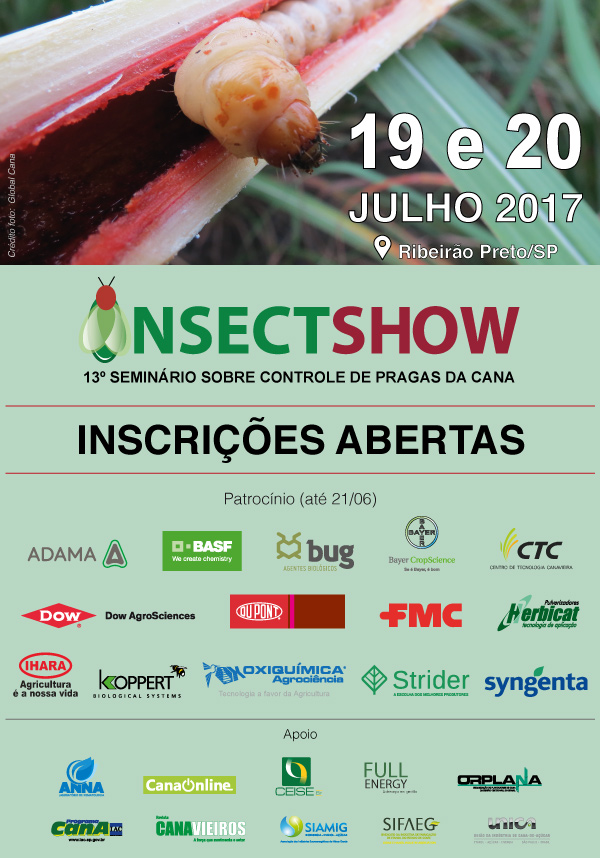 Insect Show