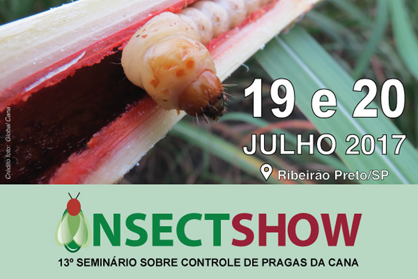 Insect Show