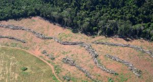 Desmatamento Amazônia