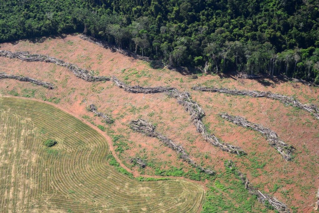 Desmatamento Amazônia