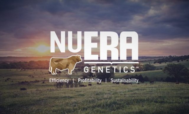 nuera-abs-pecplan-capa nuera-abs-pecplan-capa