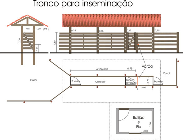 tronco-para-inseminacao