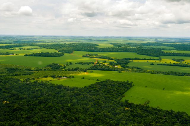 Seu patrimônio rural está aumentando e evoluindo? Seu patrimônio rural está aumentando e evoluindo?