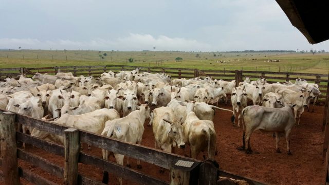 Fazenda fazenda