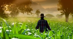 Segurança no campo: o que a NR-31 exige dos trabalhadores do agro