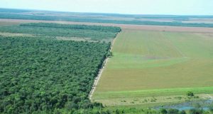 Area-de-preservação-permanente