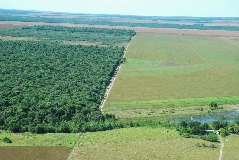 Area-de-preservação-permanente