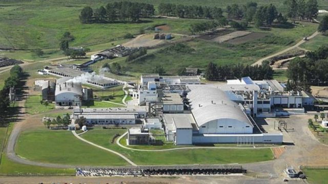Marfrig confirma reabertura de frigorífico em Alegrete Marfrig confirma reabertura de frigorífico em Alegrete