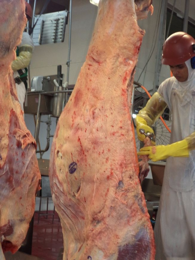 ANGUS: Programa Carne Angus estreia em Tocantins com bom índice de cer
