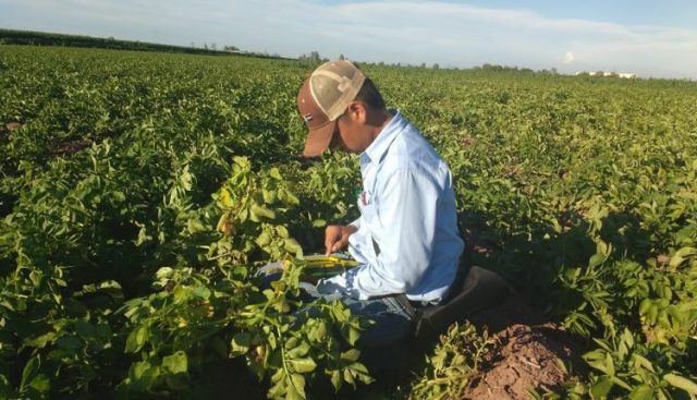 Setor De Agronegócio Atrai Profissionais De Outras Áreas Setor De Agronegócio Atrai Profissionais De Outras Áreas