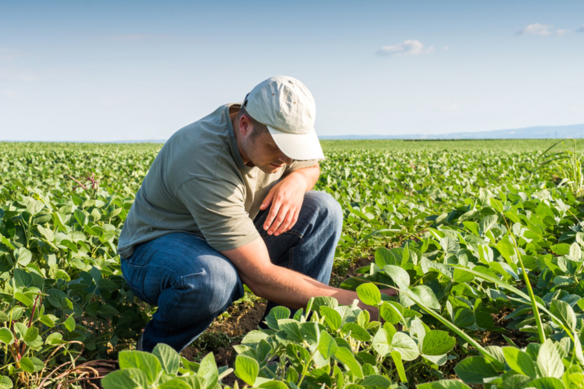 agronomia-curso