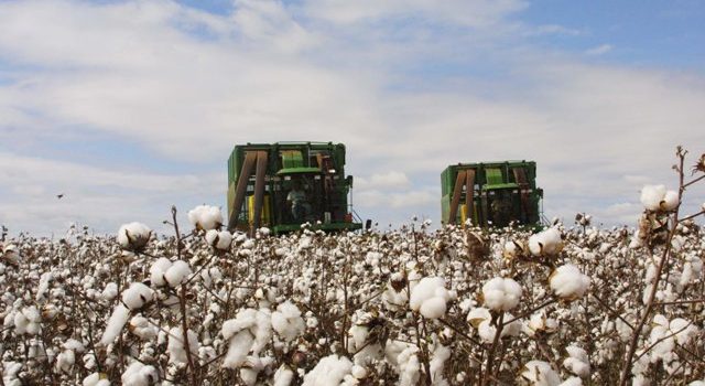 Novas regras do seguro rural aguardam sanção com prazo final nesta terça; veja o que pode mudar