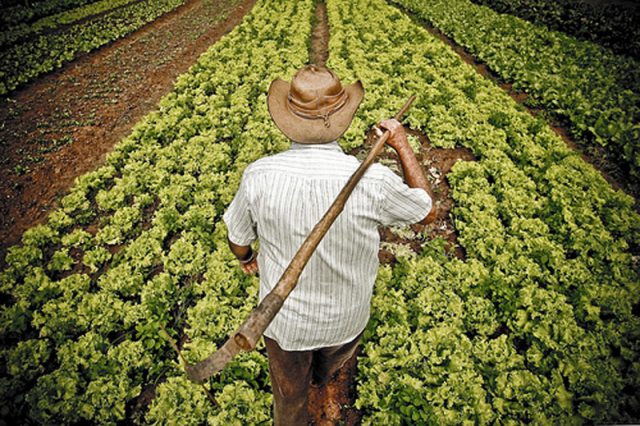 Agricultores Agricultores
