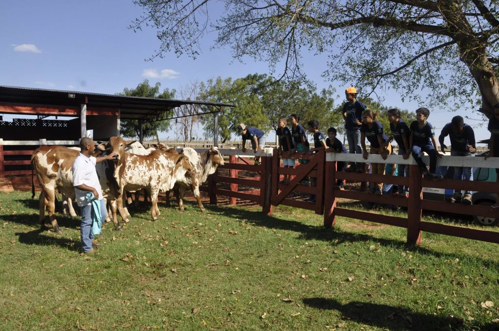 estudantes-fazenda-3r