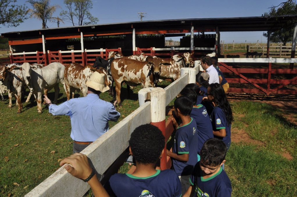 estudantes-fazenda-3r