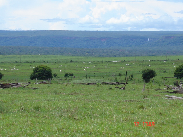 fazenda-nova-piratininga