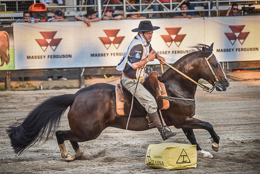 Freio de Ouro - Ginetes e Cavalos