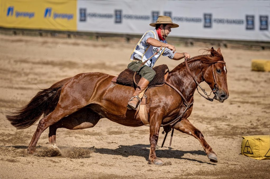 Freio de Ouro - Ginetes e Cavalos