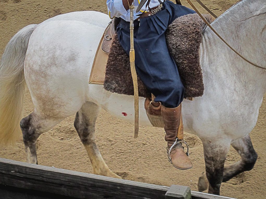 Freio de Ouro - Ginetes e Cavalos