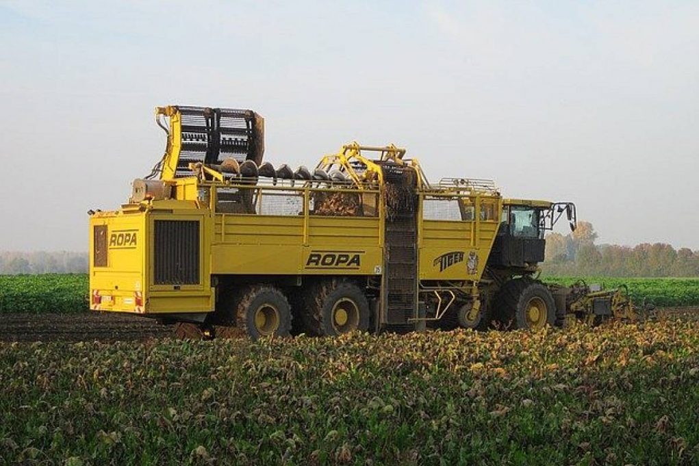 Futuras Tecnologias de Agricultura Foto: That's Farming