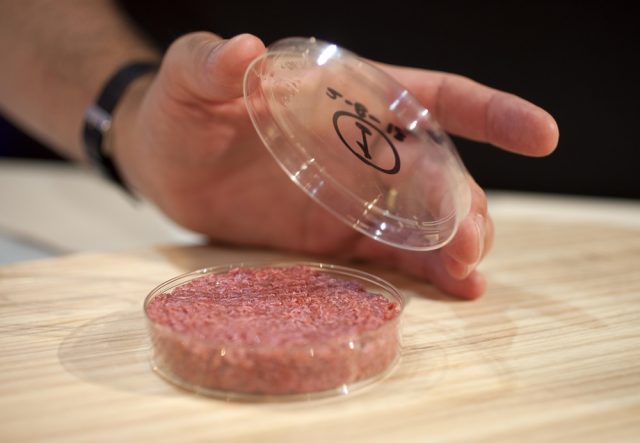 Carne Artificial