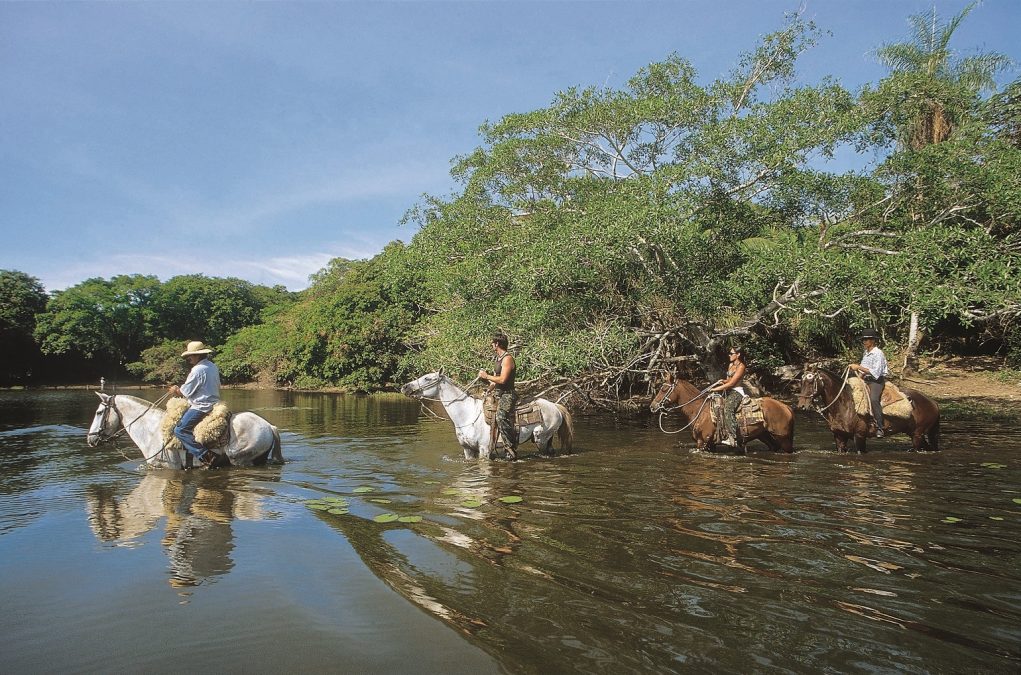 Pantanal