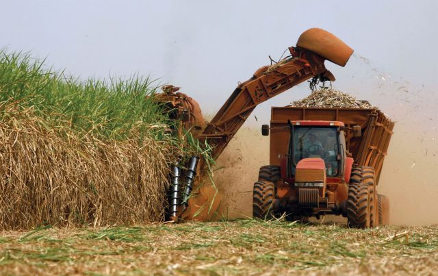 produção-cana-de-açucar Produção brasileira de cana-de-açúcar pode chegar a 646 mi de toneladas