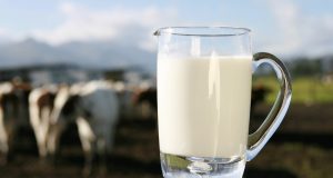 produção-de-leite
