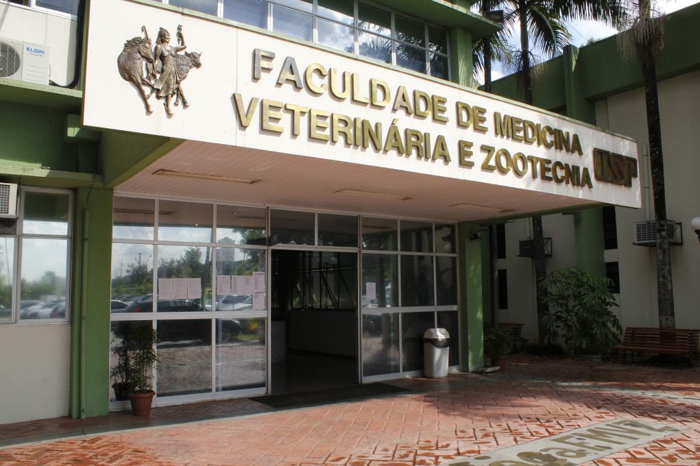 3º Lugar: Universidade de São Paulo (USP)