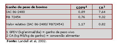 variedade-de-cana-forrageira