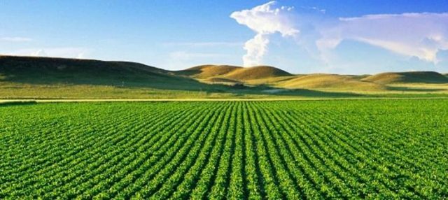 agropecuario agropecuario