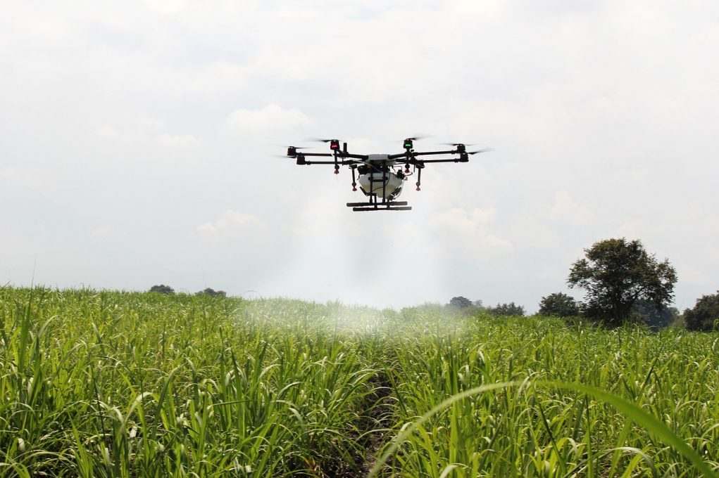 cana-de-acucar-pulvirizada-com-drone